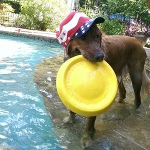 Star-spangled red white & blue American flag hat